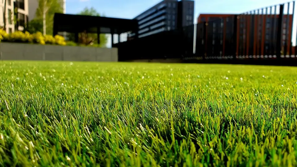 Frisch gemähte Rasenfläche vor einem Gebäude